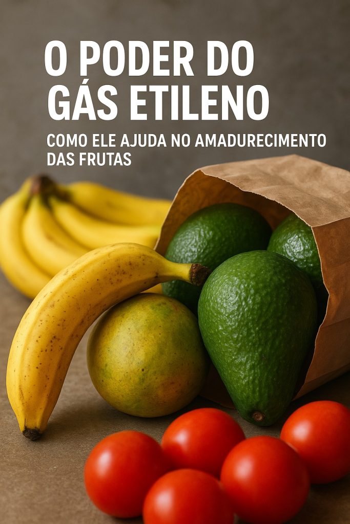 Portal Uberlândia no Foco — Foto: Portal Uberlândia no Foco