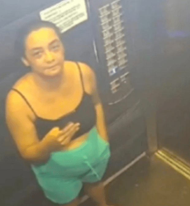 Justiça realiza primeira audiência do caso Daiane Alves, corretora assassinada em Caldas Novas