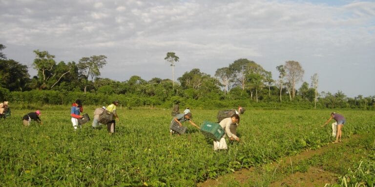 Agricultura Familiar: Dicas de Destinos para Turismo Rural