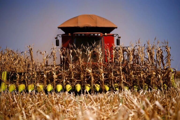 Agronegócio impulsiona Centro-Oeste a superar Sul/Sudeste em 2025