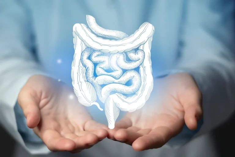 Alimentos que ajudam a recuperar a microbiota intestinal e saúde