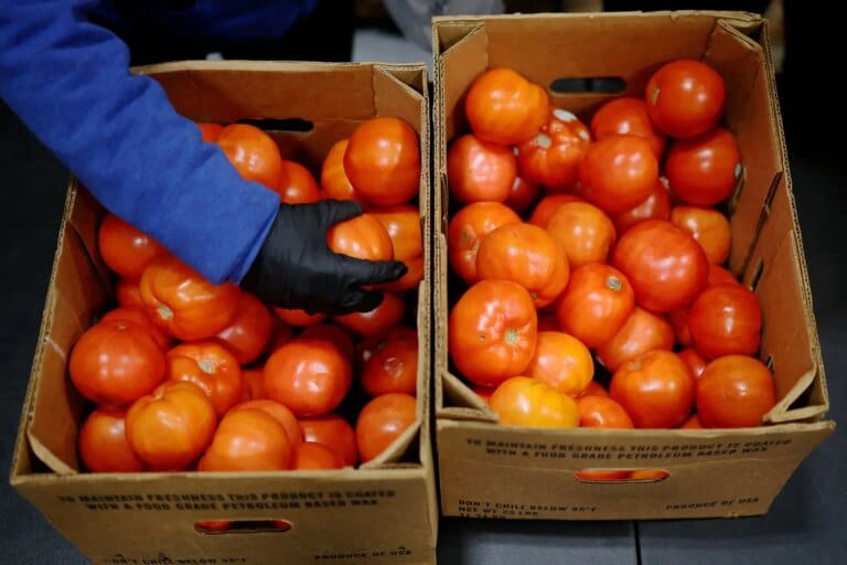 Alta da inflação em 2027 preocupa mercado de alimentos e consumo