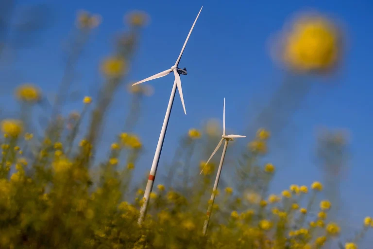 Alta da inflação nos EUA leva governo a suspender projetos de energia eólica