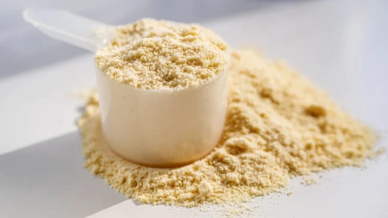 Alternativas ricas em proteína para melhorar sua saúde e bem-estar