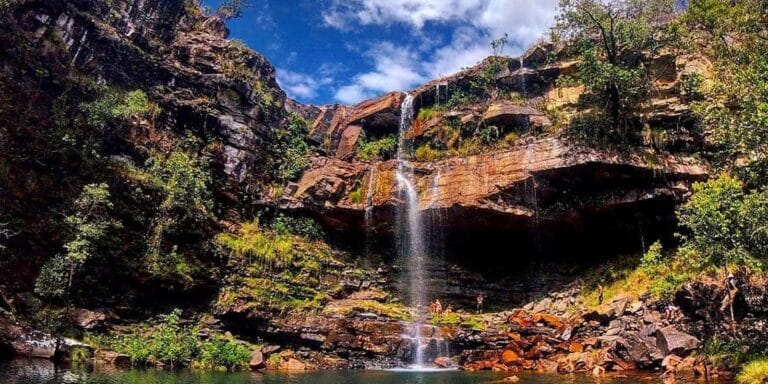 Ataque de onça na Chapada dos Veadeiros: o que saber para sua viagem