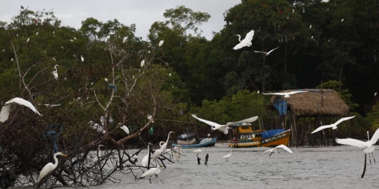 Atualização: Amazônia Soberana combate crimes em fronteiras