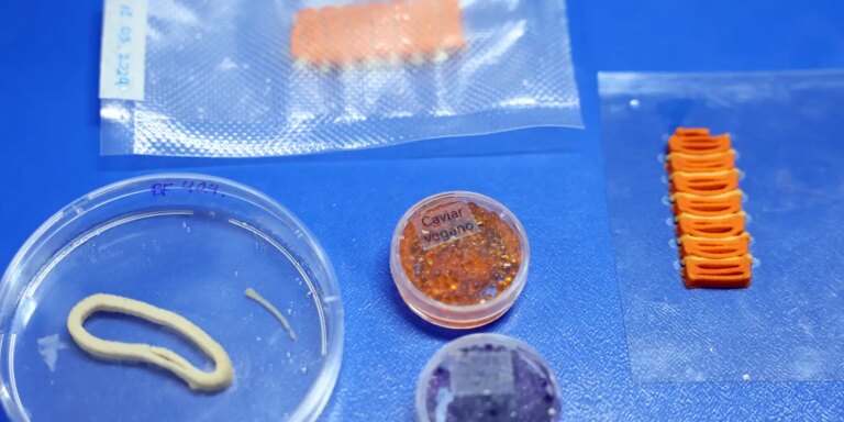 Atualização: Embrapa produz salmão, caviar e lula veganos em laboratório