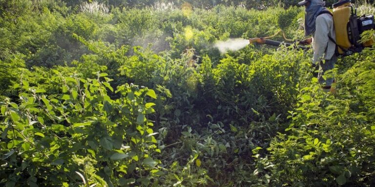 Atualização: Governo monitora agrotóxico em bacias hidrográficas
