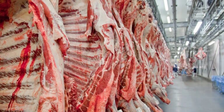 Atualização: Governo promete reverter veto da UE a carnes brasileiras