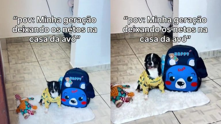 Cachorrinho que chega na casa da avó diverte internautas e viraliza com 5 milhões de visualizações