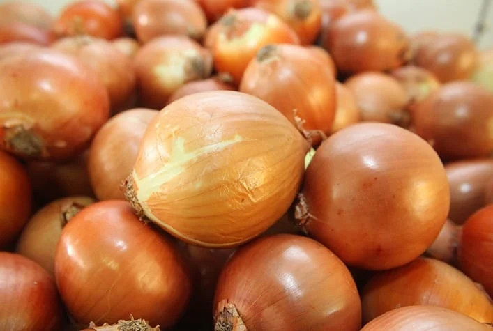 Cebola em SC enfrenta concorrência e pressiona mercado na Ceagesp