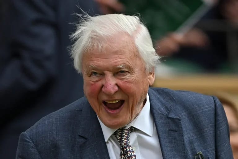 David Attenborough, ícone da defesa do planeta, celebra 100 anos