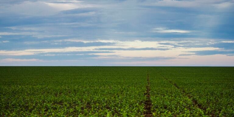 Dicas de turismo rural: conheça a Fazenda e suas atrações