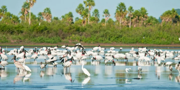 Dicas de turismo sustentável no Brasil em 2025