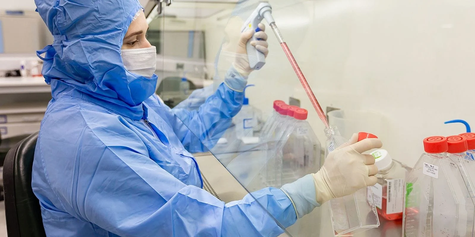 Estudo confirma uso de células-tronco em transplante de medula