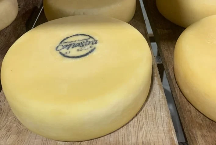 ExpoQueijo Brasil 2026 impulsiona agro e exportação de queijos