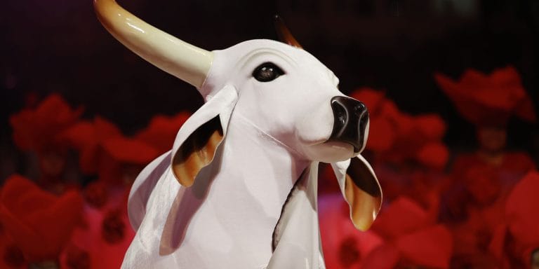 Feira Folclórica do Amazonas agita Manaus com cultura e arte