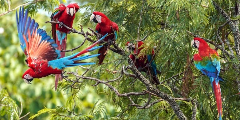 Gastos de turistas estrangeiros no Brasil sobem 9% agora