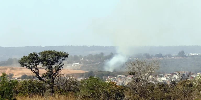 Guia de turismo: MMA arboriza periferia de pequenas cidades