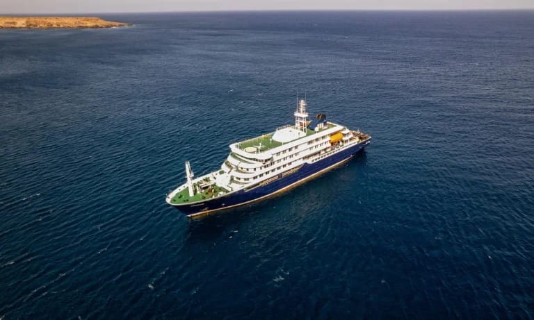 Hantavírus: OMS evacua três casos suspeitos via Cabo Verde