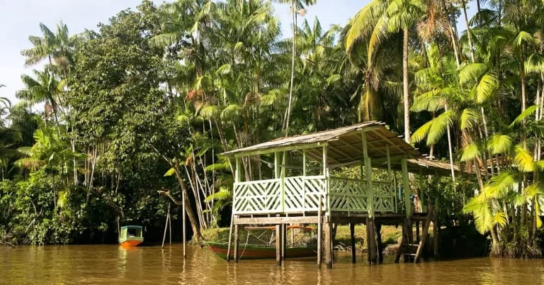Ilha do Combu é imersão na floresta para quem visita Belém