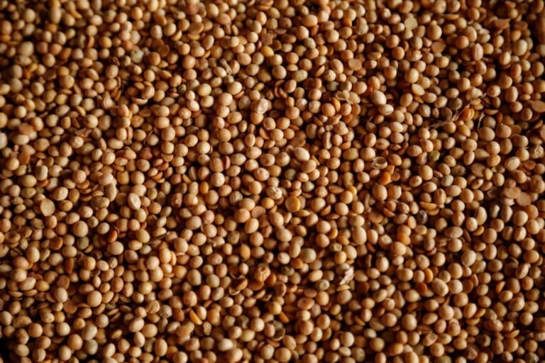 Importações de soja pela China crescem em abril e superam 2025