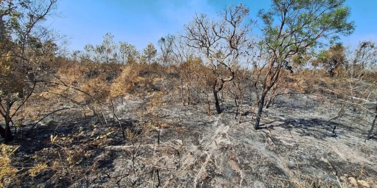 Mudanças climáticas afetam 85% dos brasileiros, diz pesquisa