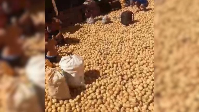 População aproveita carga de batatas espalhada na BR-050 após tombamento de carreta em Uberlândia