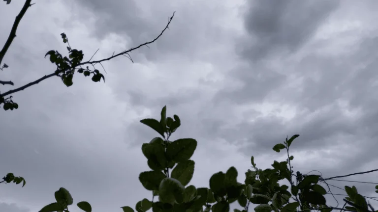 Previsão do Tempo: Chuva Fraca e Temperaturas Agradáveis em Uberlândia na Segunda-feira (25)