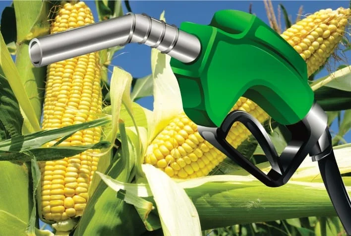 Produção de etanol de milho no Paraná se destaca no agronegócio
