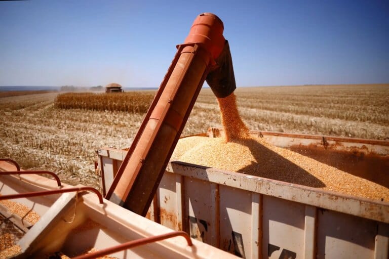Produção de milho no Brasil deve atingir 139 mi de toneladas em 2026/2027