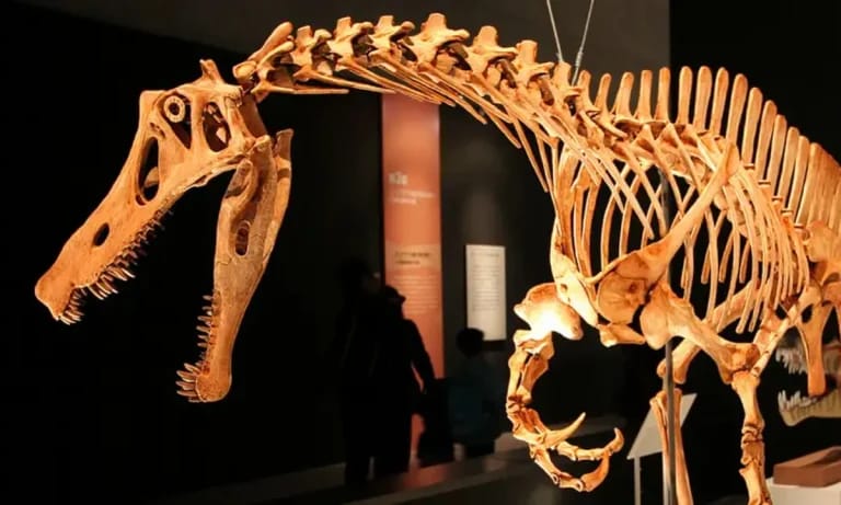 Projeto para retorno do dinossauro Irritator ao Brasil
