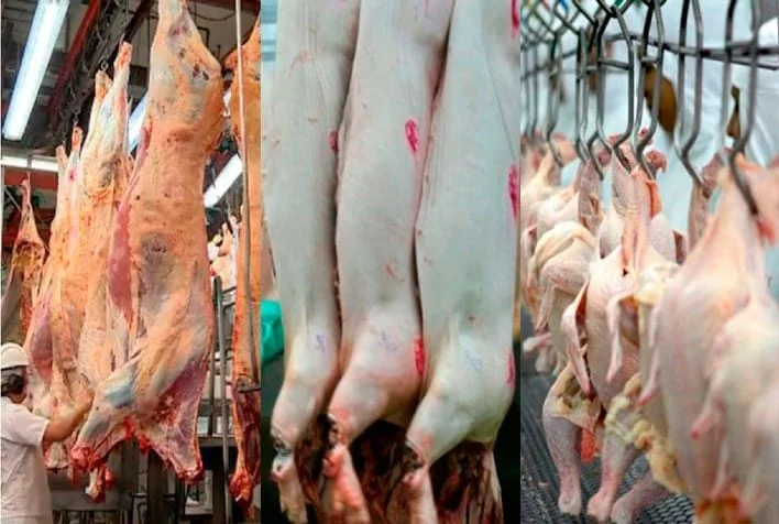 Proteína animal brasileira: pressão da Europa por protocolos sanitários