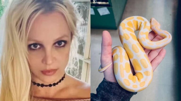 Tendência de estilo: Britney Spears celebra nova fase espiritual
