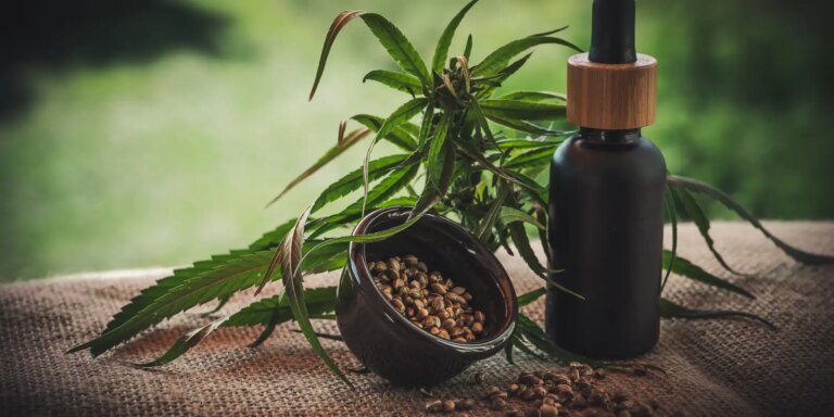 Atualização: Projeto apoia mães e crianças com cannabis