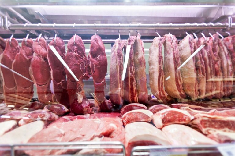 Carne mais proteica: nutri analisa boi, frango, peixe e porco