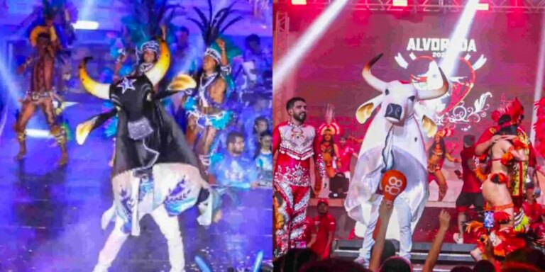 Festival de Parintins 59ª edição: Caprichoso e Garantido em disputa