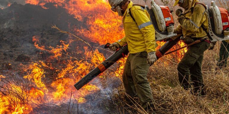 Governo confirma repasse de R$ 337 milhões para combate a incêndios