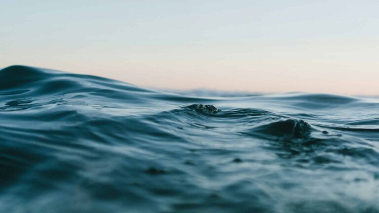 IA e satélites: proteção dos oceanos em nova inovação