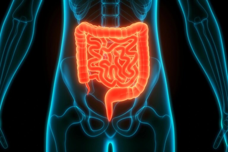 Intestino saudável: inclua este alimento na sua rotina