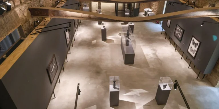 Museu Nacional lança hoje exposições inéditas pelos 208 anos