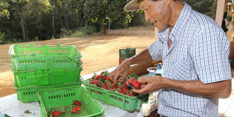 Atualização: Finep confirma R$ 220 milhões para agricultura familiar