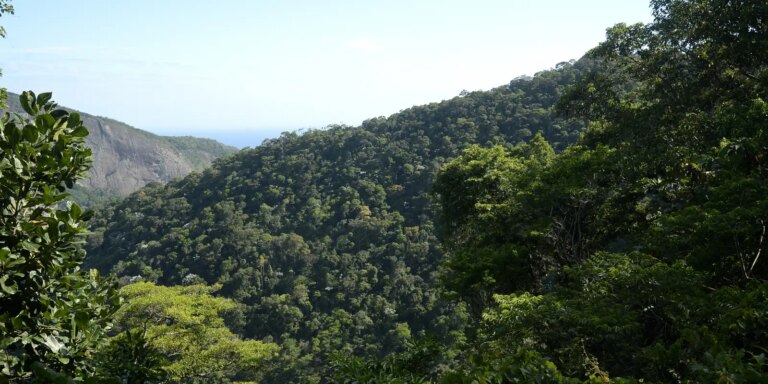 Atualização: R$ 500 bi para financiamento sustentável no Brasil