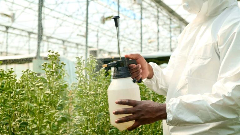 Agro: Brasil avança em negociações com UE sobre antimicrobianos