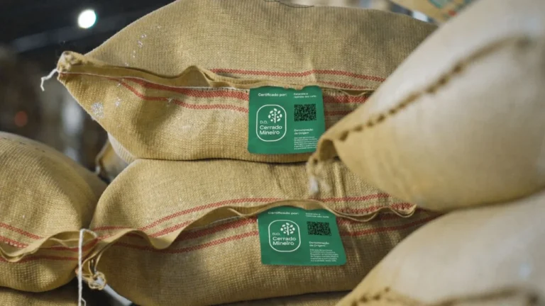 Café do Cerrado Mineiro alcança exportação histórica de 419,9 mil sacas na safra 2025/2026