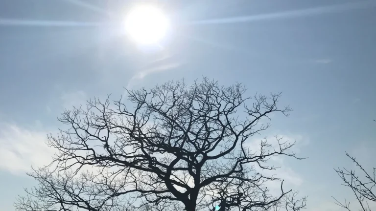 Calor intenso: Triângulo Mineiro pode registrar temperaturas acima de 35°C nos próximos dias