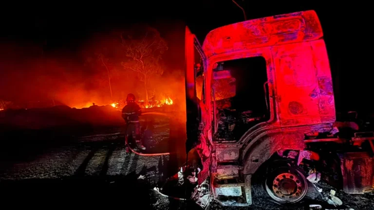 Carreta pega fogo na BR-365 em Patos de Minas e atinge vegetação às margens da rodovia