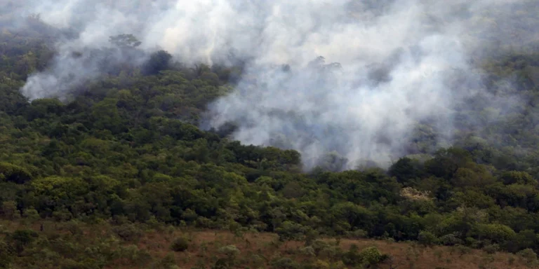 Emissão global de gases por incêndios é a menor em 24 anos
