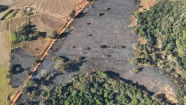 Idosa é processada por incêndio que devastou 8 hectares em Patos de Minas
