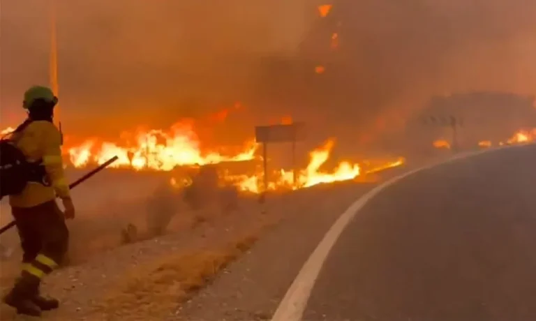 Incêndio florestal na Espanha deixa ao menos 11 mortos
